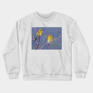 Rainbow Bee-eaters Crewneck Sweatshirt